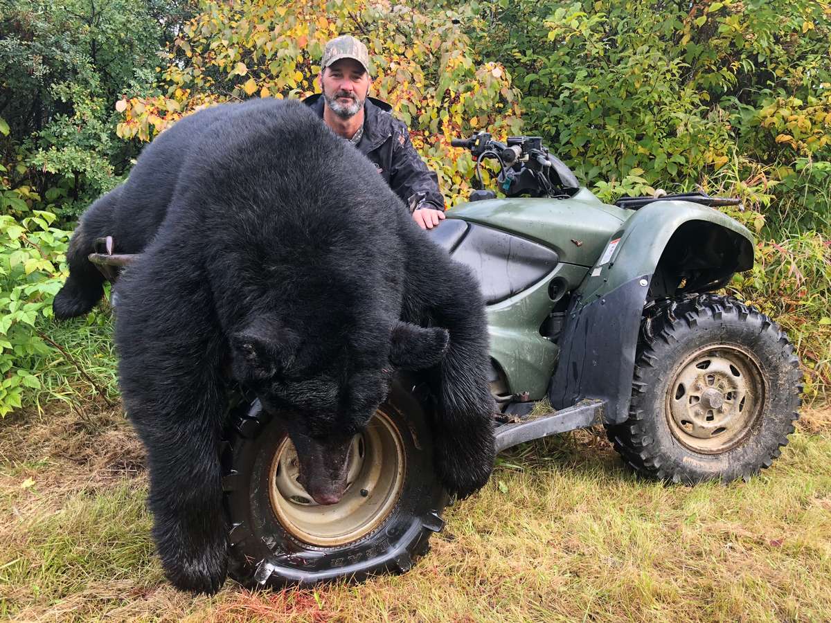 Spot & Stalk Bear Hunts